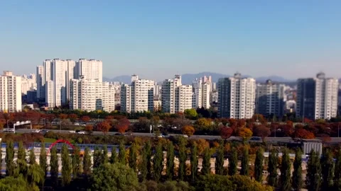 Dense residential towers rise beyond fall trees, forming modern city skyline Stock-Footage 344809481