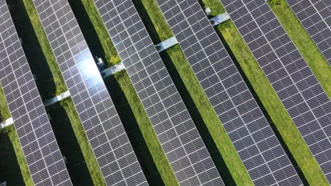 Dense rows of solar panels stretch across flat open terrain, wildflower strips Stock Footage 346174590