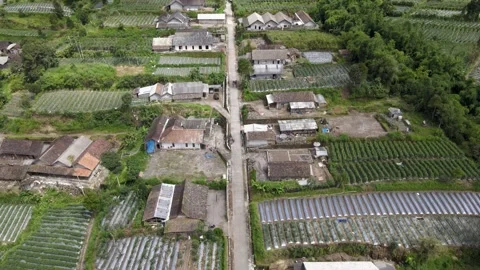 Dense Settlement Stock Footage 149856592