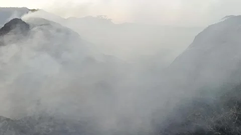Dense smoke billowing from burning dry rice straw after harvest in a rural f Stock Footage 339115460