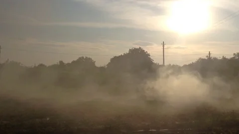 Dense Smoke from burning grass in the garden in the village and Sun Stock Footage 104833076