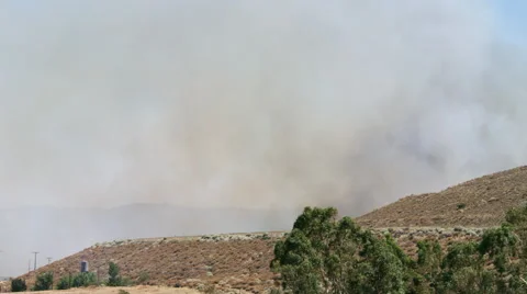 Dense smoke obscures distant hills, wind-blown trees in foreground 動画素材 59196372