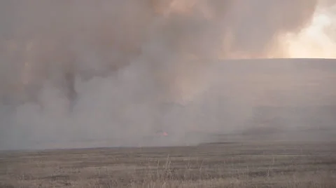 Dense smoke over a burning field in Khakassia, Russia Stock Footage 37772584