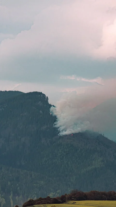Dense smoke rising from forest fire, timelapse Stock Footage 308800214