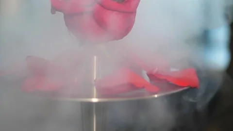 Dense smoke of white colour covers hookah with red rose Stock Footage 140409412