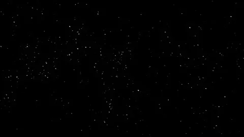 Dense Snow Falling. Dense Snow Particles. Snow Animation. Snowflake Stock Footage 263577154