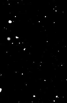 Dense snow particles on black background, winter overlay for photo and video Stock Photos