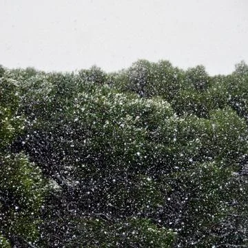 Dense snow storm Stock-Fotos