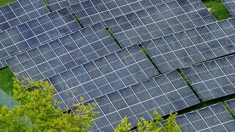 Dense Solar Panel Grid at Large Renewable Energy Farm Фото