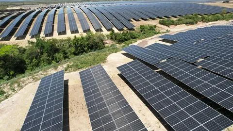 Dense solar panel rows next to a tree line, aerial view Fotos Stock