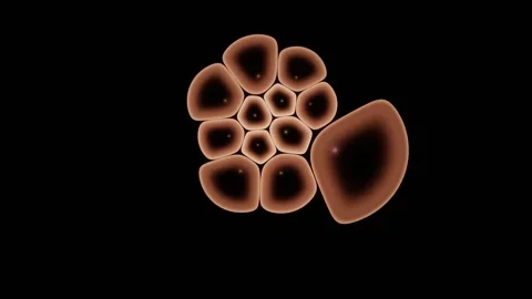 Dense Spheroid Boundary Sheds Cells Into Open Culture Stock-Footage 344513151