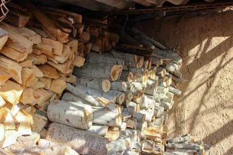 A dense stack of cut poplar tree logs, displaying varied circular cross-secti Stock-Fotos
