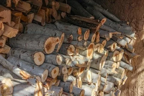 A dense stack of cut poplar tree logs, displaying varied circular cross-secti Stock-Fotos