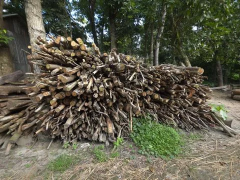 A dense stack of freshly chopped firewood logs stored in a rural forest area, Stock Photos