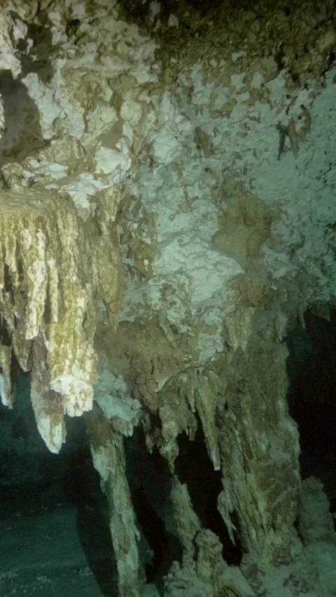 Dense stalactites covering a limestone cavern ceiling Stock Footage 341361696