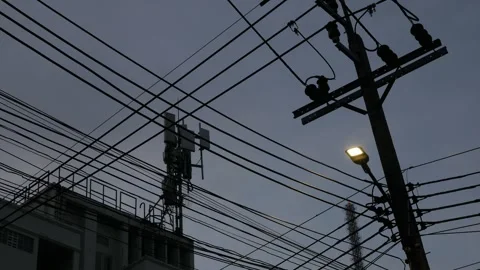 Dense tangle of utility wires and cables forming a busy silhouette around a wood Video stock 324115240