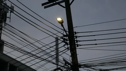 Dense tangle of utility wires and cables forming a busy silhouette around a wood Stock Footage 324805365