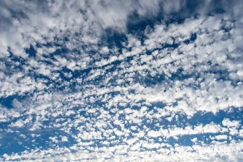 A dense, textured pattern of small altocumulus clouds spreads across a deep.. Stock Photos