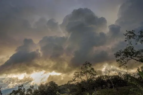Dense thunderstorm clouds forming in the horizon at sunset over the forest, i Foto stock
