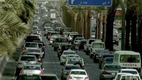 Dense traffic moving beneath roadside palms in time lapse 库存影片 346425408