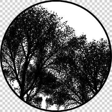 Dense Trees Gobos Light Stock Illustration