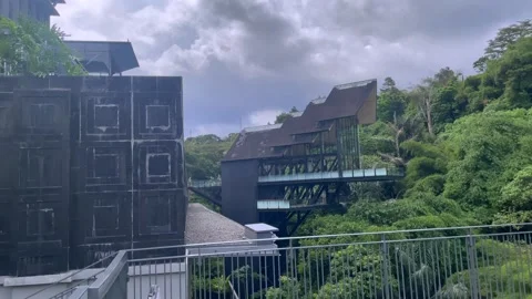 A dense tropical forest on the hillside and a beautiful view of the house. Stock Footage 320478107