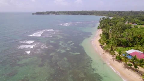 Dense tropical forest meets narrow beach in Bocas del Toro, Panama Vídeo Stock 345630684