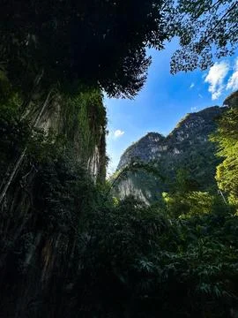 Dense Tropical Jungle with Towering Cliffs and Clear Blue Sky Foto stock