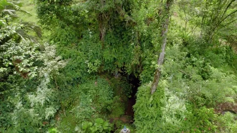 Dense tropical rainforest across Isla Colon, Bocas del Toro, Panama Vídeo Stock 345630940