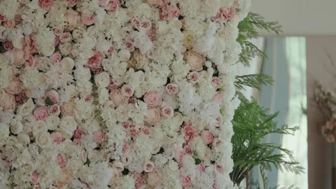 Dense Wall of White and Pink Roses for Wedding Backdrop Stock Footage 339991737
