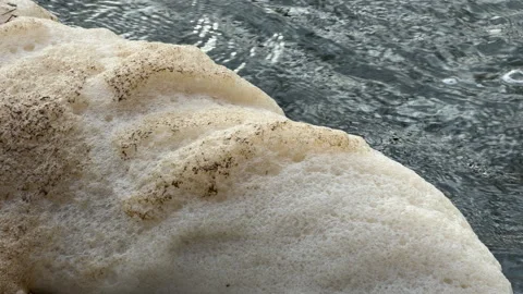 Dense White Bubbles and Foam Float on the Surface of Churning River Water Stock Footage 333299617
