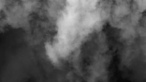 Dense white smoke or fog filling the screen Vídeo Stock 319840255
