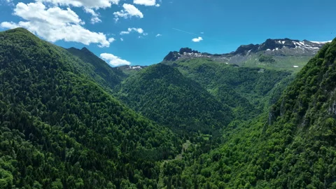 Densely forested Pyrenees valley below rocky snow-patched ridge under blue sky Stock Footage 337985232
