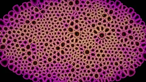 Densely Packed Cell Sheet Breathes Under Internal Pressure Stock Footage 344512525