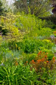 Densely planted spring garden Stock Photos