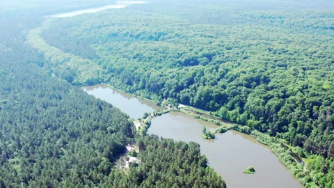Densely populated forests. There are many small lakes in the forest. nature Video stock 201467117