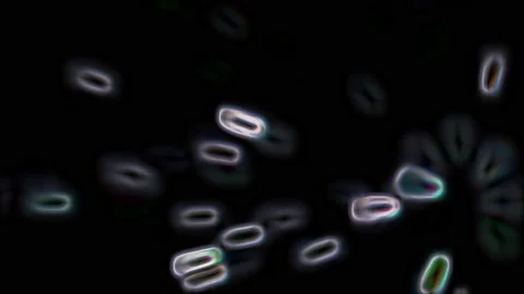 Denser, Neon Oval Shape Energy Outlines with Fractal Noise 스톡 동영상 147663339