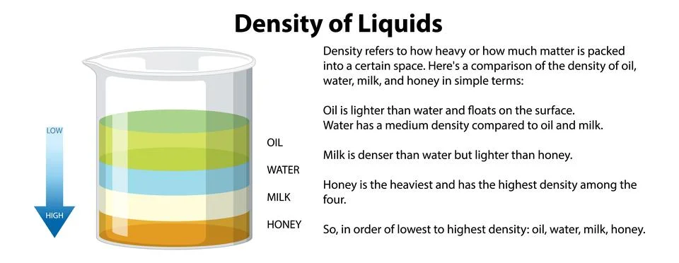 Density of Liquids Science Experiment Stock Illustration