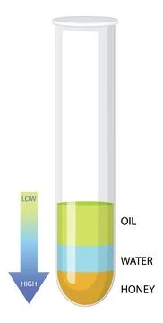 Density of Liquids Science Experiment Stock Illustration