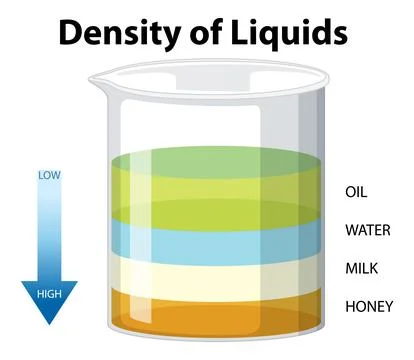 Density of Liquids Science Experiment Stock Illustration