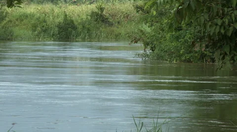 DENSU RIVER FLOWING BY Stock Footage 58106277
