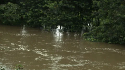 DENSU RIVER FLOWING BY TREES Stock Footage 58106527
