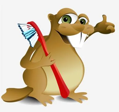 Dental beaver Stock Illustration