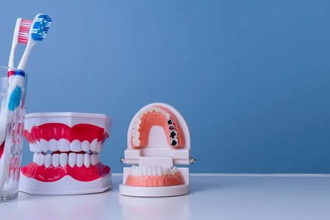 Dental care tools with teeth models and blue background Stock Photos