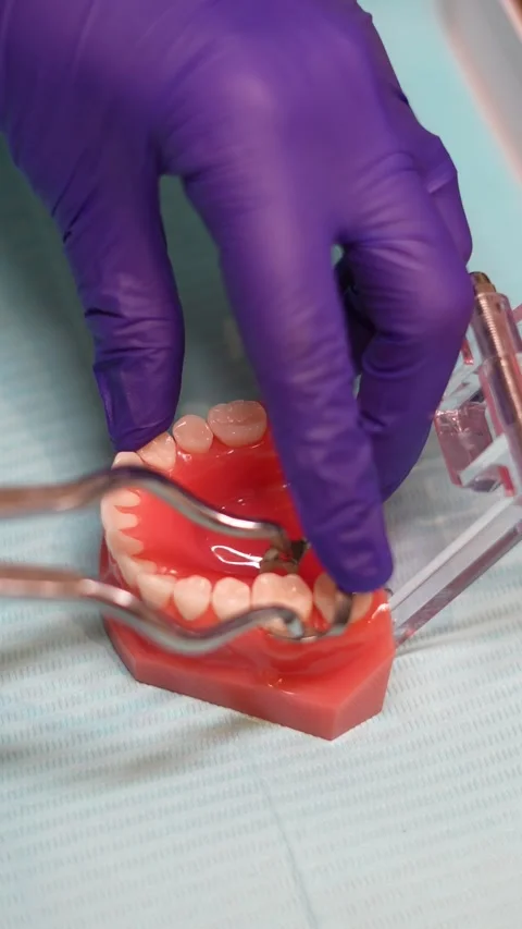 Dental Education Model Stock Footage 316915844