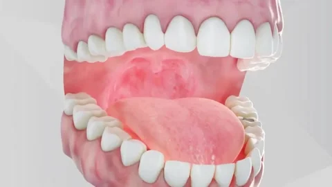 Dental Animation Stock Footage ~ Royalty Free Stock Videos | Pond5 Dental Animation Stock Footage ~ Royalty Free Stock Videos | Pond5