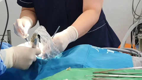 Dental Stock Footage 236975268