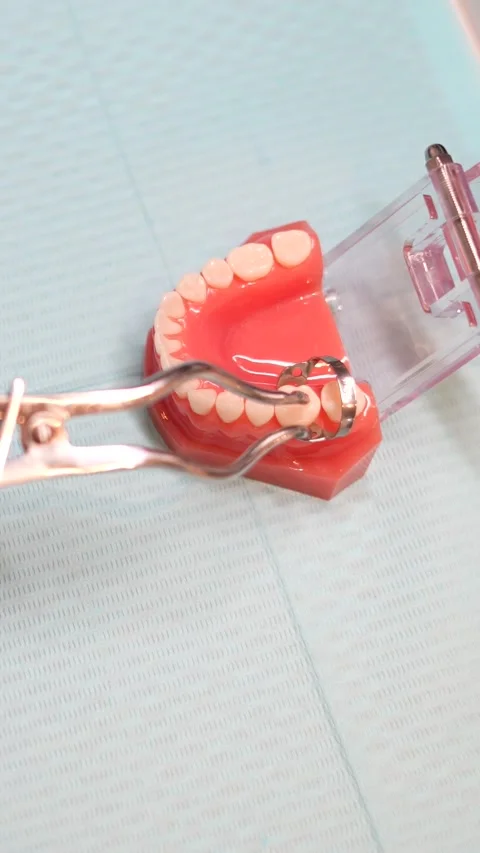 Dental Model Examination Stock Footage 316915815