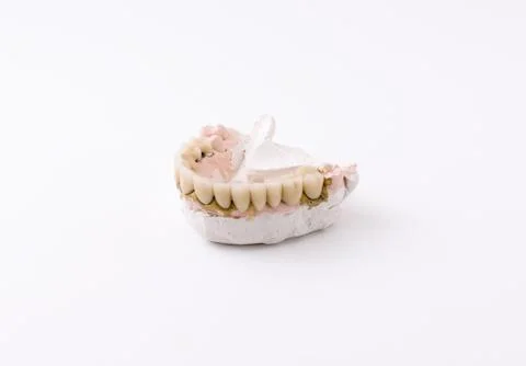 Dental model Stock Photos
