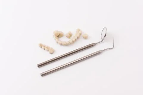 Dental model Stock Photos